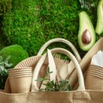 Produtos sustentáveis ganham espaço e mudam hábitos de consumo no Brasil