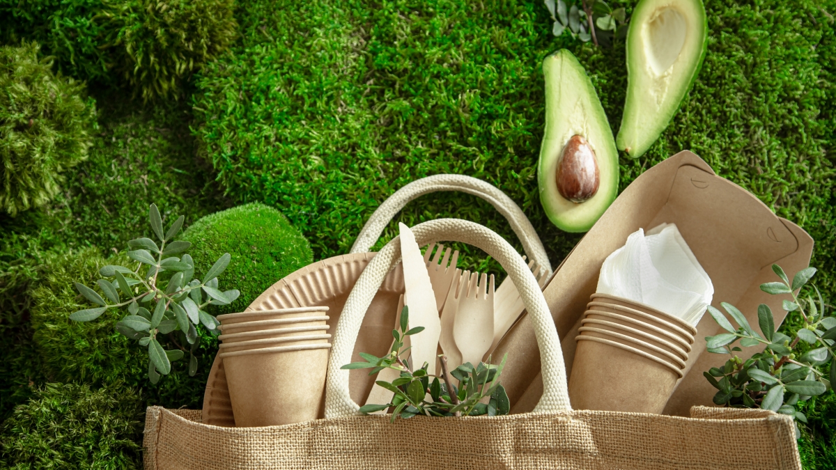 Produtos sustentáveis ganham espaço e mudam hábitos de consumo no Brasil