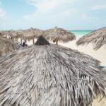 Panorama do Turismo no Ceará em 2025