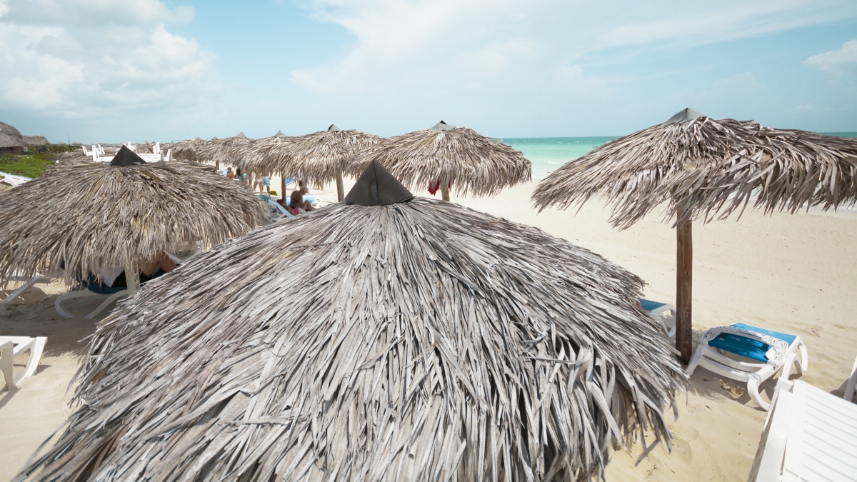 Panorama do Turismo no Ceará em 2025