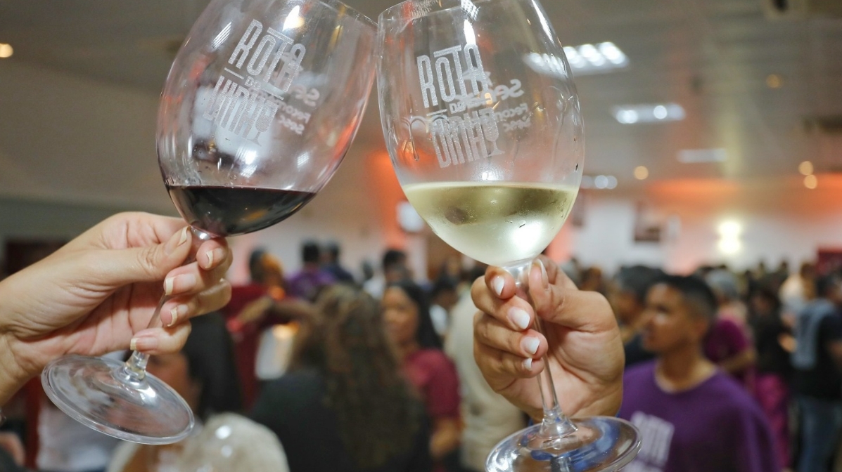 Rota do Vinho 2025 chega a Feira de Santana seguindo por Salvador e Itaparica