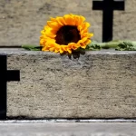 Caso de Itumbiara acende alerta para violência vicária; entenda o que é essa forma de violência e por que ela preocupa o Brasil